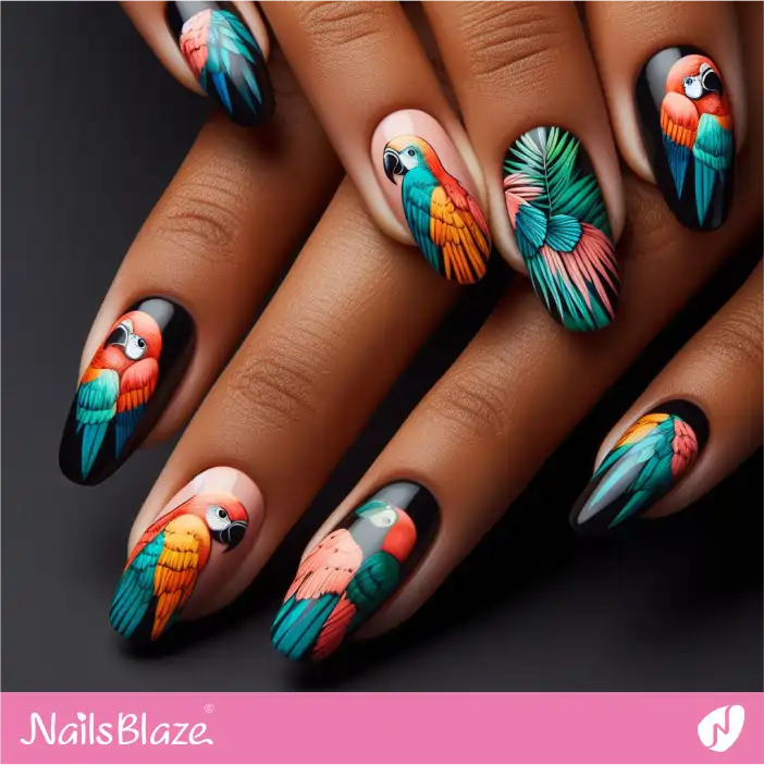 Tropical Parrots on Glossy Black Nails|Tropical-NB-D-505