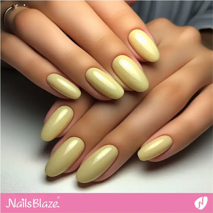 Soft Yellow Solid Nails for Office | Professional Nails - NB3082