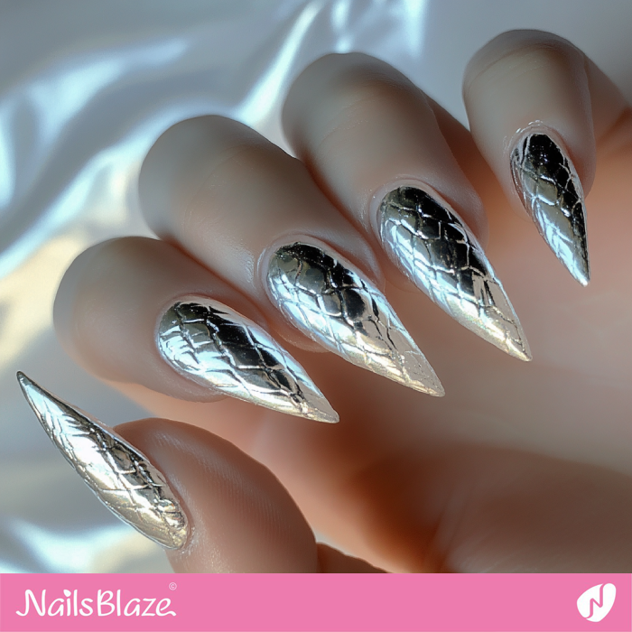 Silver Nails with Dragon Print | Silver Nails- NB7603