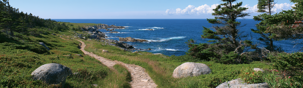 Coastal cliff trail above Atlantic ocean
