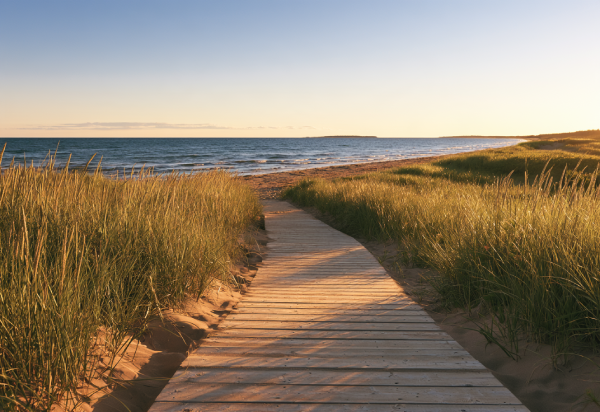 Cape Breton highlands boardwalk trail over the ocean