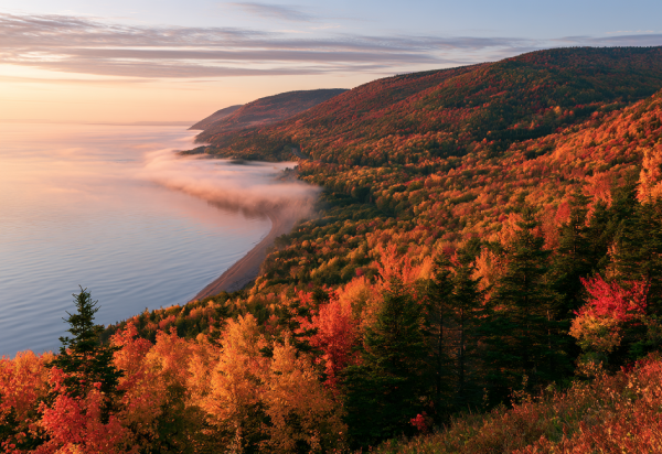 Fundy footpath coastal forest and tidal ravines
