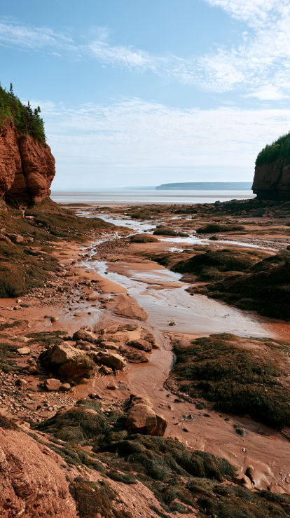 Low tide mudflats along the Fundy coast