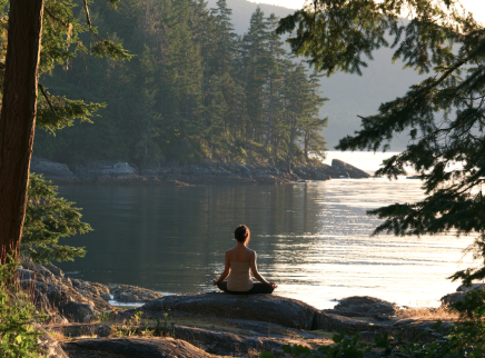 Tranquil island cove with morning calm