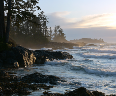 Pacific edge with storm clouds and sea spray in Tofino