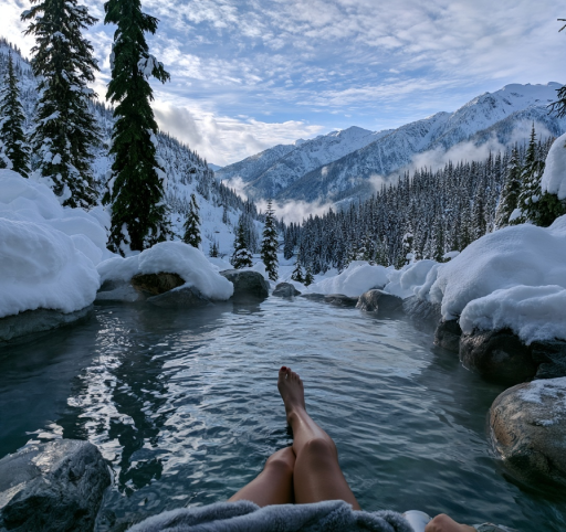 Warm thermal steam rising from outdoor mineral pool amidst pines
