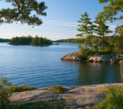 Glass-calm freshwater lake reflecting early morning white pine trees in Muskoka