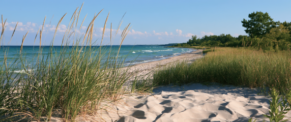 Prince Edward County Coastal Dunes