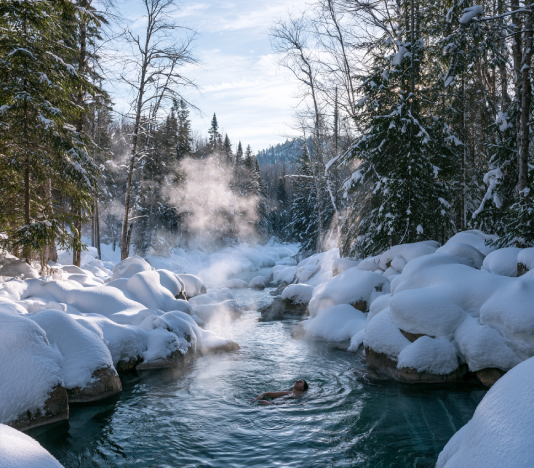 Frost and powder snow in the Quebec boreal winter forest