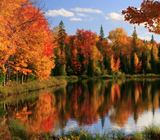 Fall maple foliage reflection in Quebec lake country