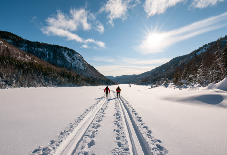 Cross-country skiing through fresh snow in a Quebec pine forest