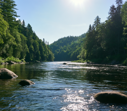 Summer river lake swimming in Quebec