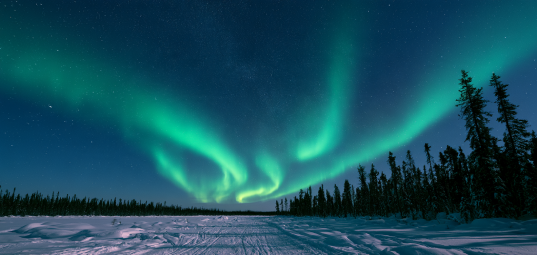 Northern tundra aurora borealis and starry night sky