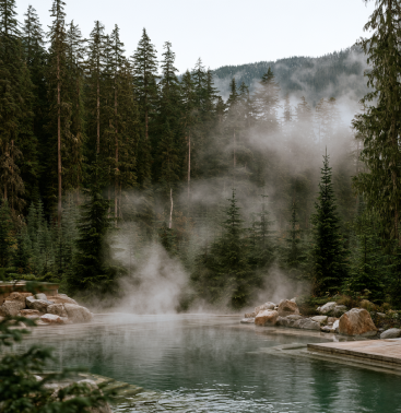 Outdoor thermal mineral pool with rising steam amidst evergreen forest